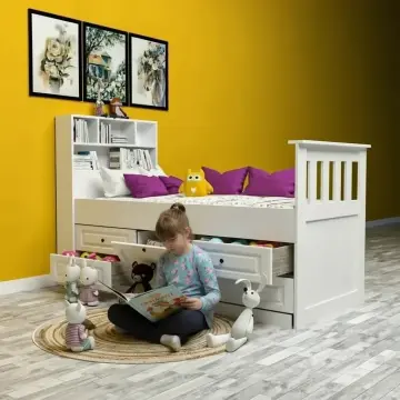 Begonya Membran Karyola