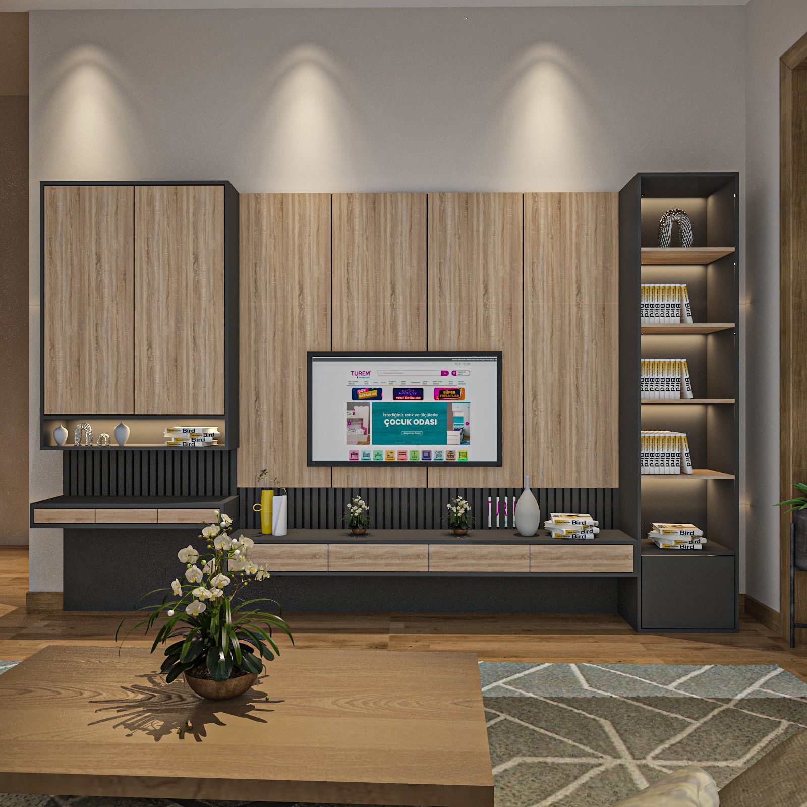 Bird Tv Ünitesi